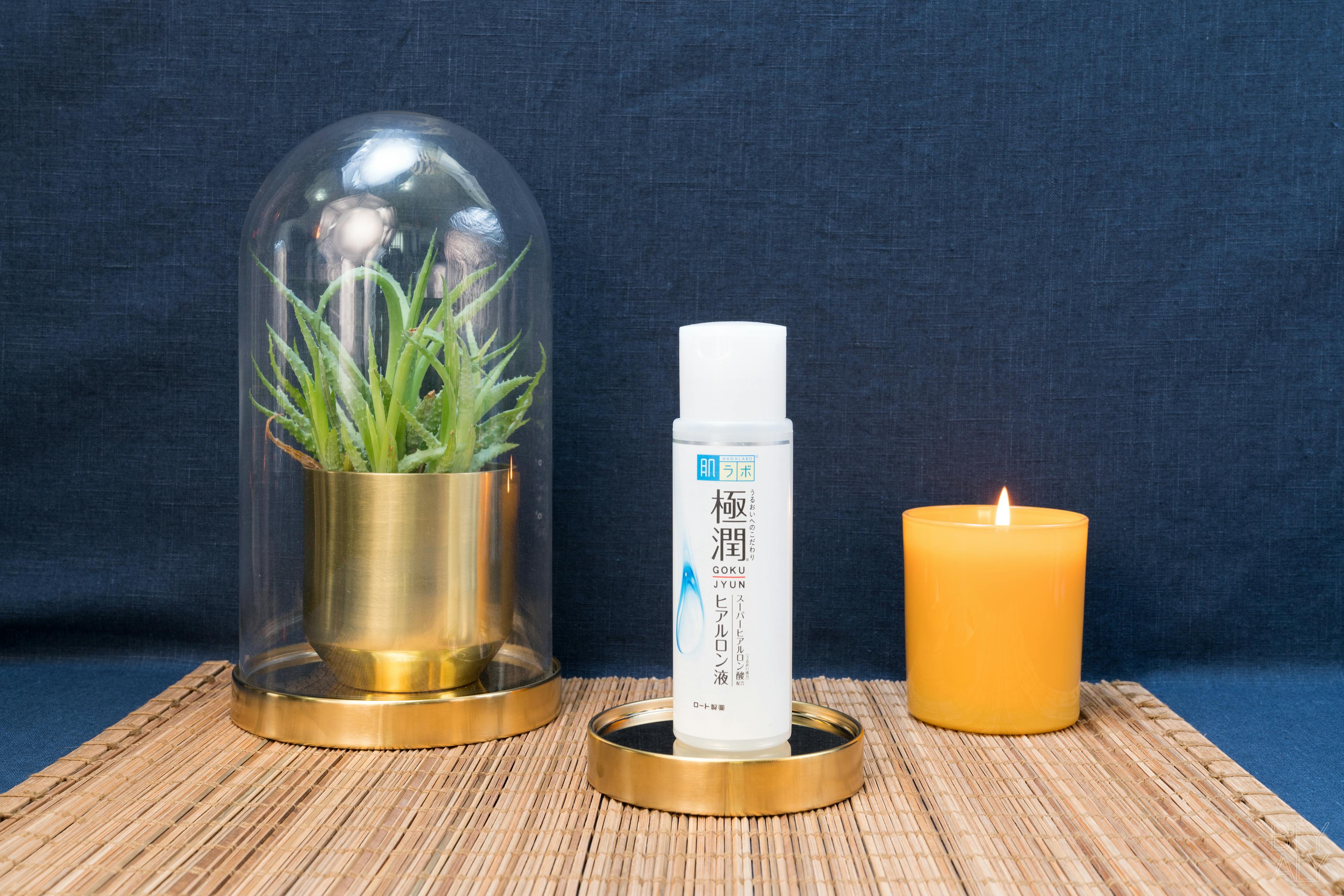 Hada Labo Goku Jyun Moist lotion | BTY ALY